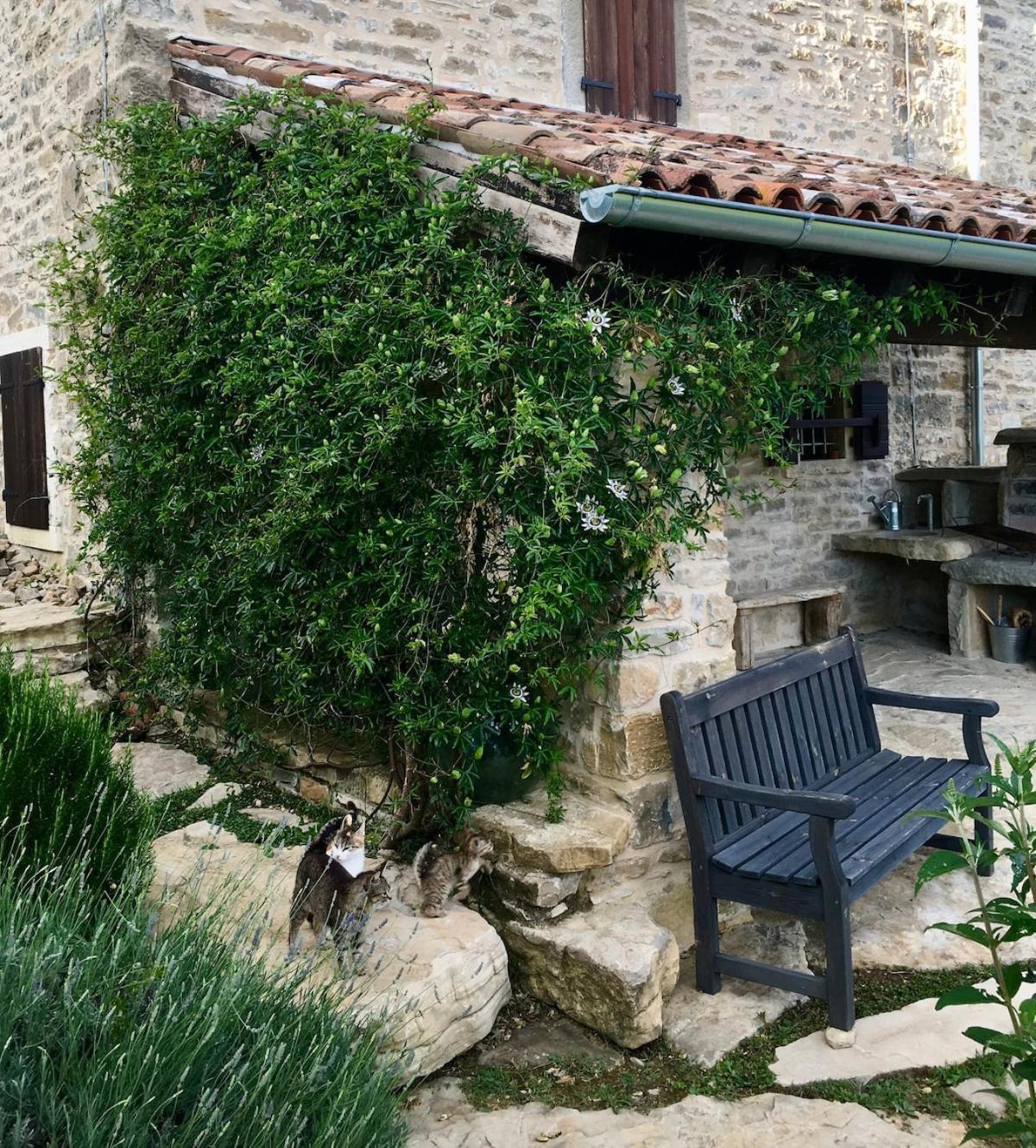 Bolara 60: The Cottage Grožnjan Extérieur photo
